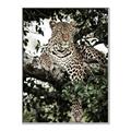 Picture of Lurking Cheetah _GroupedProduct_Rectangle_Portrait_Canvas_Framed_