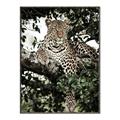 Picture of Lurking Cheetah _GroupedProduct_Rectangle_Portrait_Canvas_Framed_
