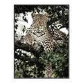 Picture of Lurking Cheetah _GroupedProduct_Rectangle_Portrait_Canvas_Framed_