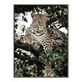 Picture of Lurking Cheetah _GroupedProduct_Rectangle_Portrait_Canvas_Framed_