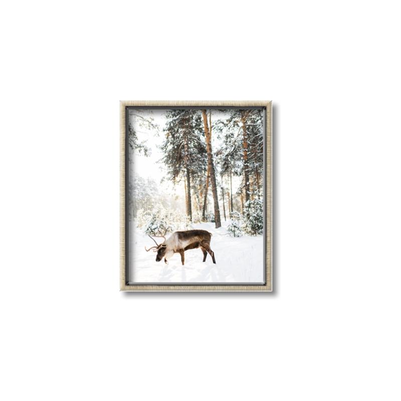 Picture of Moose in the snow _GroupedProduct_Rectangle_Portrait_Photography _GroupedProduct_Rectangle_Portrait_Canvas_Framed_