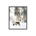 Picture of Moose in the snow _GroupedProduct_Rectangle_Portrait_Photography _GroupedProduct_Rectangle_Portrait_Canvas_Framed_