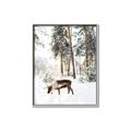 Picture of Moose in the snow _GroupedProduct_Rectangle_Portrait_Photography _GroupedProduct_Rectangle_Portrait_Canvas_Framed_