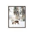 Picture of Moose in the snow _GroupedProduct_Rectangle_Portrait_Photography _GroupedProduct_Rectangle_Portrait_Canvas_Framed_