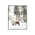 Picture of Moose in the snow _GroupedProduct_Rectangle_Portrait_Photography _GroupedProduct_Rectangle_Portrait_Canvas_Framed_