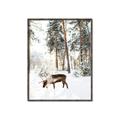 Picture of Moose in the snow _GroupedProduct_Rectangle_Portrait_Photography _GroupedProduct_Rectangle_Portrait_Canvas_Framed_