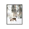Picture of Moose in the snow _GroupedProduct_Rectangle_Portrait_Photography _GroupedProduct_Rectangle_Portrait_Canvas_Framed_