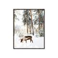 Picture of Moose in the snow _GroupedProduct_Rectangle_Portrait_Photography _GroupedProduct_Rectangle_Portrait_Canvas_Framed_