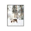 Picture of Moose in the snow _GroupedProduct_Rectangle_Portrait_Photography _GroupedProduct_Rectangle_Portrait_Canvas_Framed_