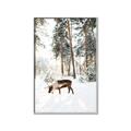 Picture of Moose in the snow _GroupedProduct_Rectangle_Portrait_Photography _GroupedProduct_Rectangle_Portrait_Canvas_Framed_