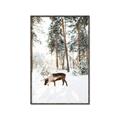 Picture of Moose in the snow _GroupedProduct_Rectangle_Portrait_Photography _GroupedProduct_Rectangle_Portrait_Canvas_Framed_