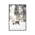Picture of Moose in the snow _GroupedProduct_Rectangle_Portrait_Photography _GroupedProduct_Rectangle_Portrait_Canvas_Framed_