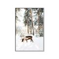 Picture of Moose in the snow _GroupedProduct_Rectangle_Portrait_Photography _GroupedProduct_Rectangle_Portrait_Canvas_Framed_