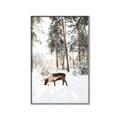 Picture of Moose in the snow _GroupedProduct_Rectangle_Portrait_Photography _GroupedProduct_Rectangle_Portrait_Canvas_Framed_