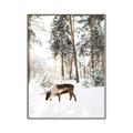Picture of Moose in the snow _GroupedProduct_Rectangle_Portrait_Photography _GroupedProduct_Rectangle_Portrait_Canvas_Framed_