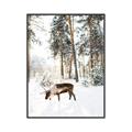 Picture of Moose in the snow _GroupedProduct_Rectangle_Portrait_Photography _GroupedProduct_Rectangle_Portrait_Canvas_Framed_