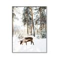 Picture of Moose in the snow _GroupedProduct_Rectangle_Portrait_Photography _GroupedProduct_Rectangle_Portrait_Canvas_Framed_