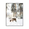 Picture of Moose in the snow _GroupedProduct_Rectangle_Portrait_Photography _GroupedProduct_Rectangle_Portrait_Canvas_Framed_