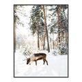 Picture of Moose in the snow _GroupedProduct_Rectangle_Portrait_Photography _GroupedProduct_Rectangle_Portrait_Canvas_Framed_