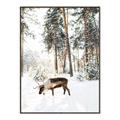 Picture of Moose in the snow _GroupedProduct_Rectangle_Portrait_Photography _GroupedProduct_Rectangle_Portrait_Canvas_Framed_