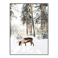 Picture of Moose in the snow _GroupedProduct_Rectangle_Portrait_Photography _GroupedProduct_Rectangle_Portrait_Canvas_Framed_