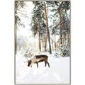 Picture of Moose in the snow _GroupedProduct_Rectangle_Portrait_Photography _GroupedProduct_Rectangle_Portrait_Canvas_Framed_