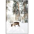 Picture of Moose in the snow _GroupedProduct_Rectangle_Portrait_Photography _GroupedProduct_Rectangle_Portrait_Canvas_Framed_