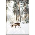 Picture of Moose in the snow _GroupedProduct_Rectangle_Portrait_Photography _GroupedProduct_Rectangle_Portrait_Canvas_Framed_