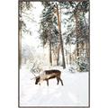 Picture of Moose in the snow _GroupedProduct_Rectangle_Portrait_Photography _GroupedProduct_Rectangle_Portrait_Canvas_Framed_