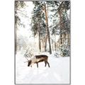 Picture of Moose in the snow _GroupedProduct_Rectangle_Portrait_Photography _GroupedProduct_Rectangle_Portrait_Canvas_Framed_