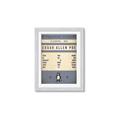 Picture of Edgar Allen Poe _GroupedProduct_Rectangle_Portrait_Framed_Matted_