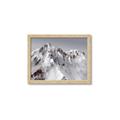 Picture of Rocky Mountain II _GroupedProduct_Rectangle_Landscape_Photography _GroupedProduct_Rectangle_Landscape_Framed_Matted_