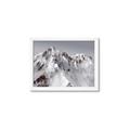 Picture of Rocky Mountain II _GroupedProduct_Rectangle_Landscape_Photography _GroupedProduct_Rectangle_Landscape_Framed_Matted_