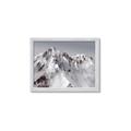 Picture of Rocky Mountain II _GroupedProduct_Rectangle_Landscape_Photography _GroupedProduct_Rectangle_Landscape_Framed_Matted_