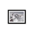 Picture of Rocky Mountain II _GroupedProduct_Rectangle_Landscape_Photography _GroupedProduct_Rectangle_Landscape_Framed_Matted_