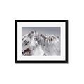 Picture of Rocky Mountain II _GroupedProduct_Rectangle_Landscape_Photography _GroupedProduct_Rectangle_Landscape_Framed_Matted_