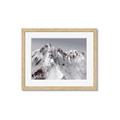 Picture of Rocky Mountain II _GroupedProduct_Rectangle_Landscape_Photography _GroupedProduct_Rectangle_Landscape_Framed_Matted_