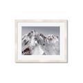 Picture of Rocky Mountain II _GroupedProduct_Rectangle_Landscape_Photography _GroupedProduct_Rectangle_Landscape_Framed_Matted_