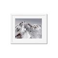 Picture of Rocky Mountain II _GroupedProduct_Rectangle_Landscape_Photography _GroupedProduct_Rectangle_Landscape_Framed_Matted_