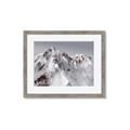 Picture of Rocky Mountain II _GroupedProduct_Rectangle_Landscape_Photography _GroupedProduct_Rectangle_Landscape_Framed_Matted_