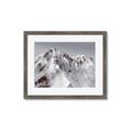 Picture of Rocky Mountain II _GroupedProduct_Rectangle_Landscape_Photography _GroupedProduct_Rectangle_Landscape_Framed_Matted_