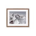 Picture of Rocky Mountain II _GroupedProduct_Rectangle_Landscape_Photography _GroupedProduct_Rectangle_Landscape_Framed_Matted_