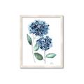 Picture of Blue Hydrangeas I _GroupedProduct_Rectangle_Portrait_Framed_Matted_