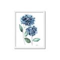 Picture of Blue Hydrangeas I _GroupedProduct_Rectangle_Portrait_Framed_Matted_