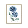 Picture of Blue Hydrangeas I _GroupedProduct_Rectangle_Portrait_Framed_Matted_