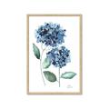 Picture of Blue Hydrangeas I _GroupedProduct_Rectangle_Portrait_Framed_Matted_