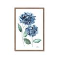 Picture of Blue Hydrangeas I _GroupedProduct_Rectangle_Portrait_Framed_Matted_