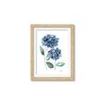 Picture of Blue Hydrangeas I _GroupedProduct_Rectangle_Portrait_Framed_Matted_