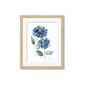 Picture of Blue Hydrangeas I _GroupedProduct_Rectangle_Portrait_Framed_Matted_