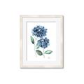 Picture of Blue Hydrangeas I _GroupedProduct_Rectangle_Portrait_Framed_Matted_